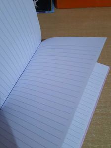 Unused Diary