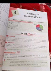 NCERT at your Fingertips - Physics, Chemistry, Bio