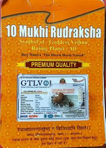 10 Mukhi Rudraksha Locket