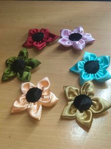 Stylish 6 Hair Clips 99 Rupees