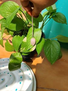 Assorted Pendent Lot