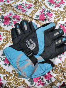 Jing Long Ski Gloves