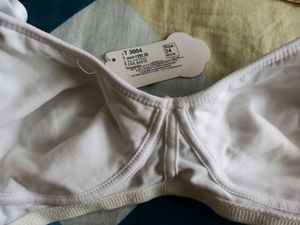 Floret T-shirt Light Padded 2 Piece Bras ( White &amp;