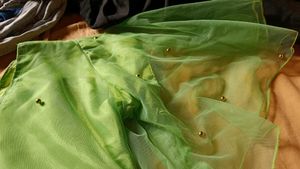 Green Tunic with Gold Beading