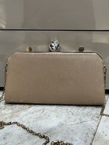Elegant Evening Clutch