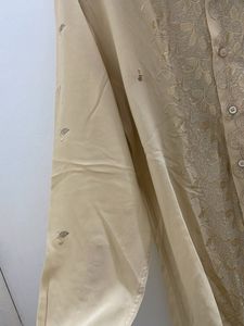 Georgette embroidered beige shirt