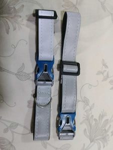 Reflective Dog Collars - Safety First!