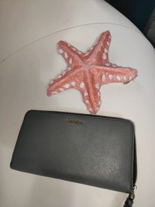 Calvin Klein Clutch