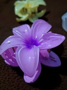 Flower Hair Clips - Set of 3