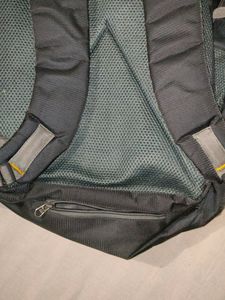 Bag For School/Office