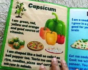 SOFT CLOTH BOOKS - HEALTHY VEGETABLES
