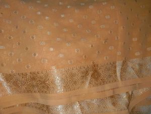 Elegant Peach Saree