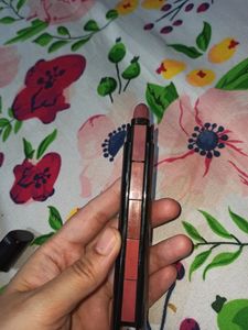 Renee 5 In 1 Lipstick