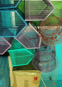 Parrot  Birds Rabbit Cat Etc Cage Pijara Cag