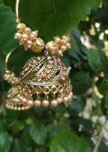 Gold Plated Bali Earring