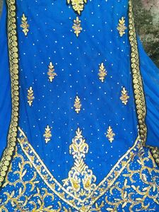 This Beautiful Net Gown