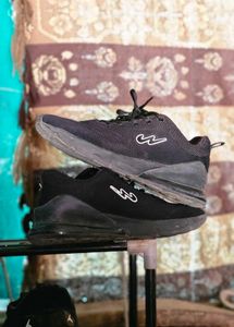 Campus Shoes