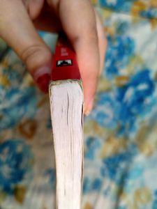 NCERT Biology Exemplar Book Class XII (12th)