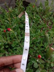 RGB LED Strip Lights - 12V (used)