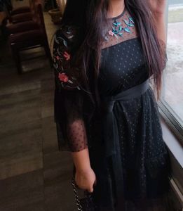 Black A-line Net Dress Without Belt