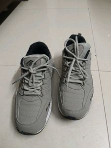 Asian Men Shoes| Grey