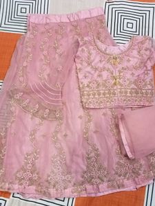 Elegant Lehenga Choli🌷🤍
