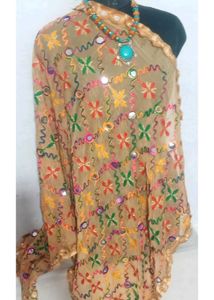Women Phulkari Sheesha Duppatta