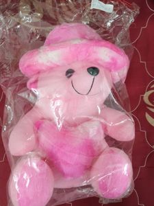 Packed Teddy Bear