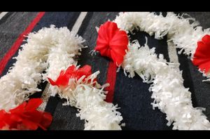 Combos Hair Accessories