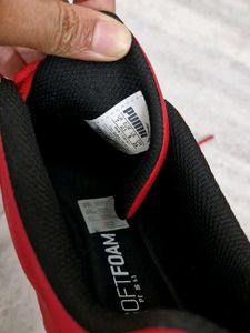 Puma Ferrari Theme Sneakers With Box