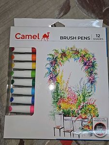 Camel Brush Pens - 12 Assorted Shades