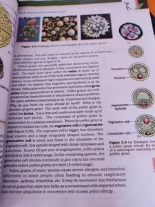 Old NCERT