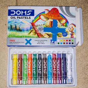 Doms Oil Pastel Crayons