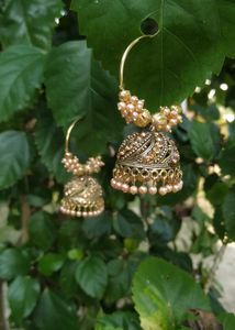 Gold Plated Bali Earring