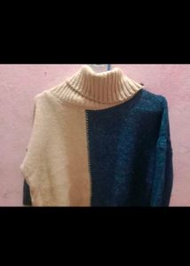 Cozy Two-Tone Turtleneck