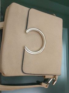 Clearance Sale  Sling Bag Purse Clutch  Golden