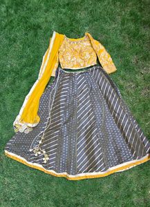 designer Lehenga Choli Set