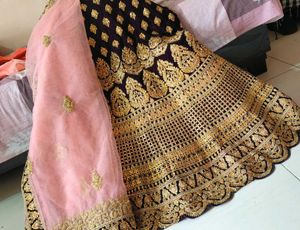 Elegant Lehenga Choli