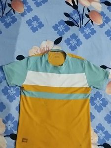T shirt (used )