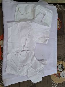 White Saree With Blouse and Petticoat