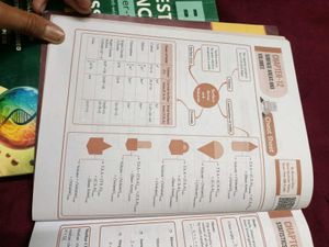 Class 10 CBSE Maths 15sample Paper By Pw
