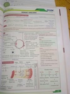 Allen Biology NCERT Fast Track - Used