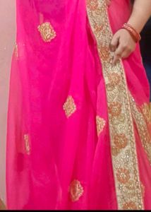 Beautiful Saree Without Blouse