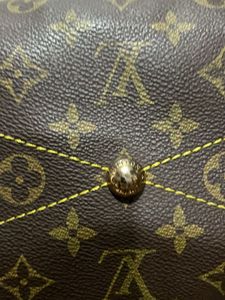 Louis Vuitton Handbag
