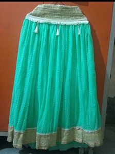 Elegant Ethnic Skirt