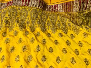 Chanderi Silk (all Over Stone Work)