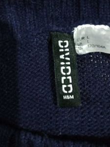H&amp;M Dino Sweater