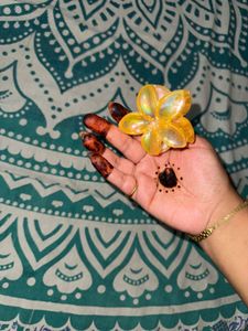 Flower Claw Clip Orange