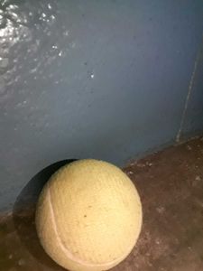 Used Hard Tennis Cricket Ball