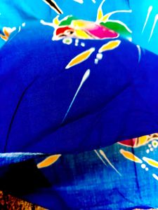 Colorful Fish Print P